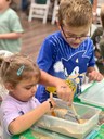 summer program 2026.jpg